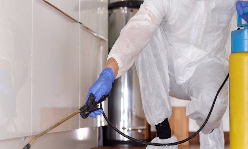 Residential and Commercial Pest Control Services: Your Comprehensive Pest Management Solution